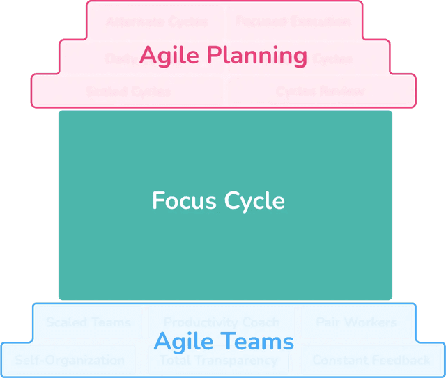 Focus Cycles